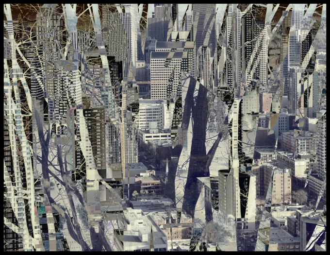 Concrete Jungle I — Collage work by Maria Drazilov