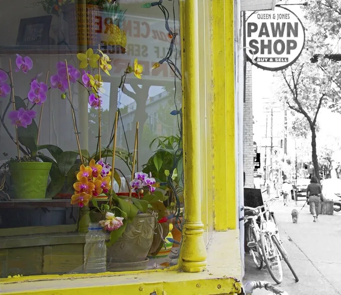 Orchids in the Window — Toronto work by Maria Drazilov
