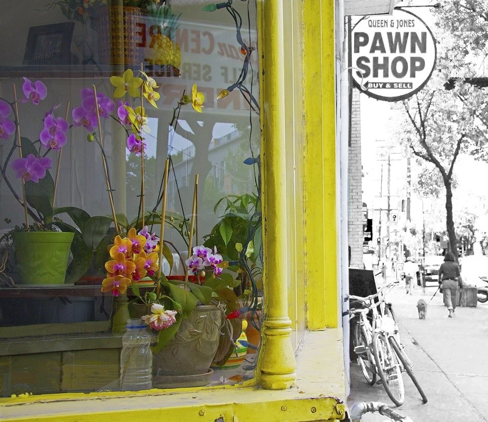 Orchids in the Window — Toronto work by Maria Drazilov