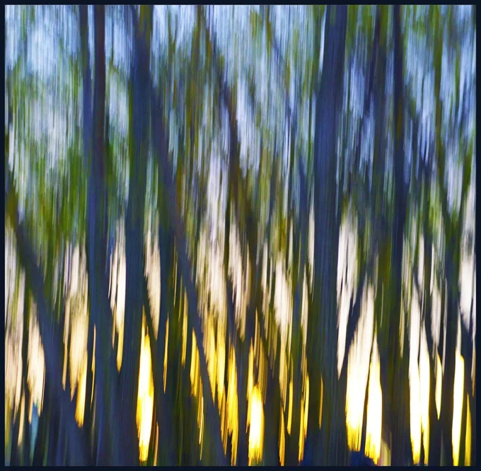Summer’s Eve — Abstractions work by Maria Drazilov